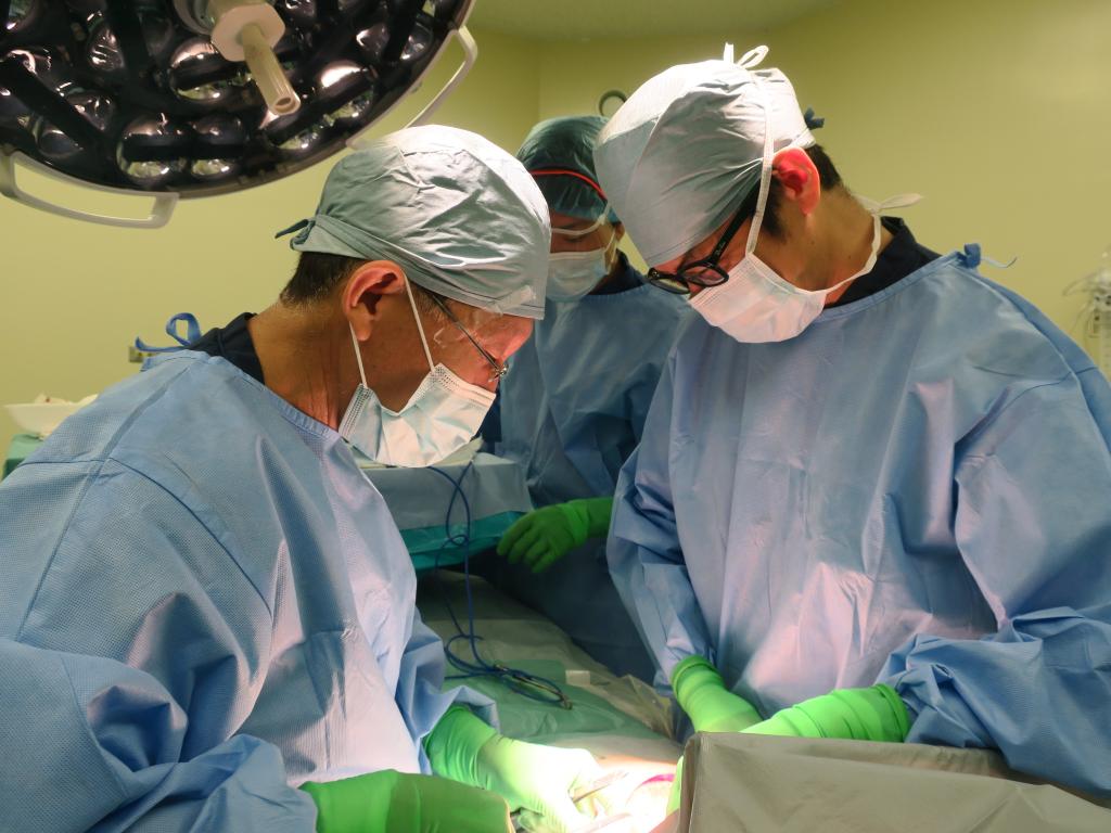 武蔵野赤十字病院 外来のご案内 診療科の紹介